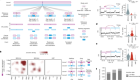 Long-molecule scars of backup DNA repair in BRCA1- and BRCA2-deficient cancers