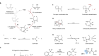 Hydrogen-bond-acceptor ligands enable distal C(sp3)–H arylation of free alcohols