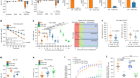 Transgenic ferret models define pulmonary ionocyte diversity and function