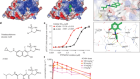 The PTPN2/PTPN1 inhibitor ABBV-CLS-484 unleashes potent anti-tumour immunity
