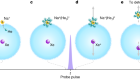 Observing the primary steps of ion solvation in helium droplets