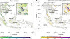 High-resolution maps show that rubber causes substantial deforestation