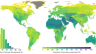 Revising the global biogeography of annual and perennial plants