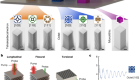 Dynamic diagnosis of metamaterials through laser-induced vibrational signatures