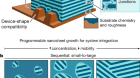 Functional composites by programming entropy-driven nanosheet growth