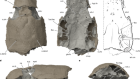 Fossil evidence for a pharyngeal origin of the vertebrate pectoral girdle