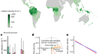 Integrated global assessment of the natural forest carbon potential