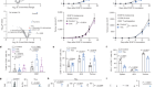 Trans-vaccenic acid reprograms CD8+ T cells and anti-tumour immunity