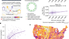 Human mobility networks reveal increased segregation in large cities