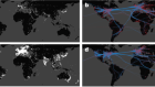 Remote collaboration fuses fewer breakthrough ideas