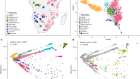 The genetic legacy of the expansion of Bantu-speaking peoples in Africa