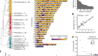 Identification of constrained sequence elements across 239 primate genomes