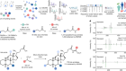 Reverse metabolomics for the discovery of chemical structures from humans