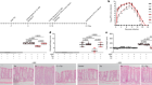 Dopamine receptor D2 confers colonization resistance via microbial metabolites