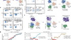 TRBC1-targeting antibody–drug conjugates for the treatment of T cell cancers