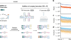 Single-cell multiplex chromatin and RNA interactions in ageing human brain
