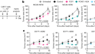 FOXO1 enhances CAR T cell stemness, metabolic fitness and efficacy