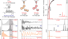 Decoupling excitons from high-frequency vibrations in organic molecules