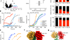 Targeting DCAF5 suppresses SMARCB1-mutant cancer by stabilizing SWI/SNF