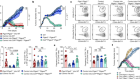 PGE2 limits effector expansion of tumour-infiltrating stem-like CD8+ T cells