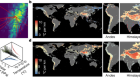 Climate velocities and species tracking in global mountain regions