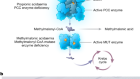 Interim analyses of a first-in-human phase 1/2 mRNA trial for propionic acidaemia