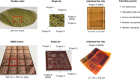 Multi-project wafers for flexible thin-film electronics by independent foundries