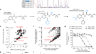 Chemoproteomic discovery of a covalent allosteric inhibitor of WRN helicase