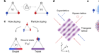 Directly imaging spin polarons in a kinetically frustrated Hubbard system