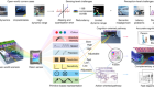 A vision chip with complementary pathways for open-world sensing
