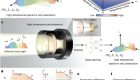 Dispersion-assisted high-dimensional photodetector