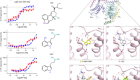 Structural pharmacology and therapeutic potential of 5-methoxytryptamines