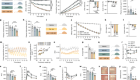 GLP-1-directed NMDA receptor antagonism for obesity treatment