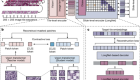 A whole-slide foundation model for digital pathology from real-world data