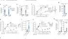 Engineered CD47 protects T cells for enhanced antitumour immunity