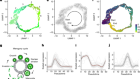 Transcriptional control of the Cryptosporidium life cycle