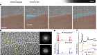 Atomic dynamics of electrified solid–liquid interfaces in liquid-cell TEM