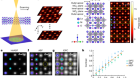 Visualization of oxygen vacancies and self-doped ligand holes in La3Ni2O7−δ