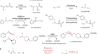 Expanding chemistry through in vitro and in vivo biocatalysis