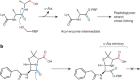 Sophisticated natural products as antibiotics