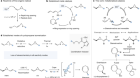 Dynamic stereomutation of vinylcyclopropanes with metalloradicals