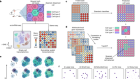 Multiscale topology classifies cells in subcellular spatial transcriptomics