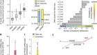dsRNA formation leads to preferential nuclear export and gene expression