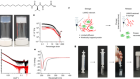 Mechanical release of homogenous proteins from supramolecular gels