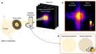 High-performance 4-nm-resolution X-ray tomography using burst ptychography