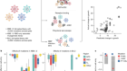Spike deep mutational scanning helps predict success of SARS-CoV-2 clades