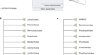 The emerging view on the origin and early evolution of eukaryotic cells