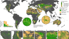 Groundwater-dependent ecosystem map exposes global dryland protection needs
