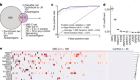 Molecular mimicry in multisystem inflammatory syndrome in children