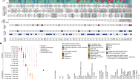 The genomic landscape of 2,023 colorectal cancers